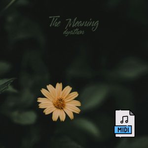 The Meaning